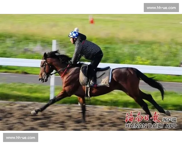 巅峰对决!国内顶级马术赛在邯郸激情开赛 巅峰对决!国内顶级马术赛在邯郸激情开赛